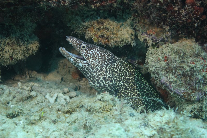 Curacao 04-12 204.JPG